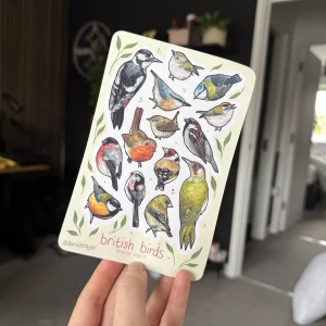 Birtish Birds Vinyl Sticker Sheet